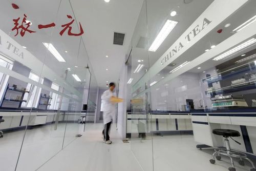 2024中國(guó)茶企品牌價(jià)值Top10風(fēng)采展示 百年張一元榮登榜，現(xiàn)代琳龍物流展新篇